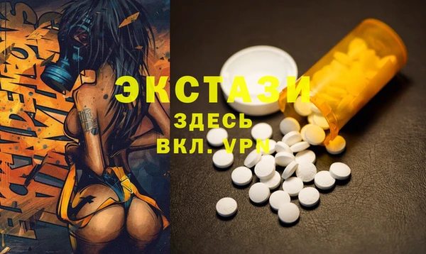 ECSTASY Бородино