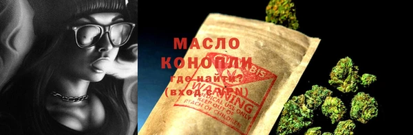 ECSTASY Бородино