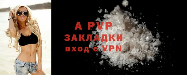 ECSTASY Бородино