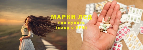 ECSTASY Бородино