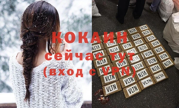 ECSTASY Бородино