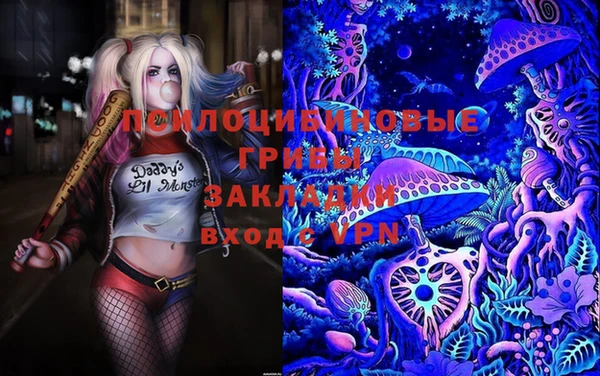 мескалин Бронницы