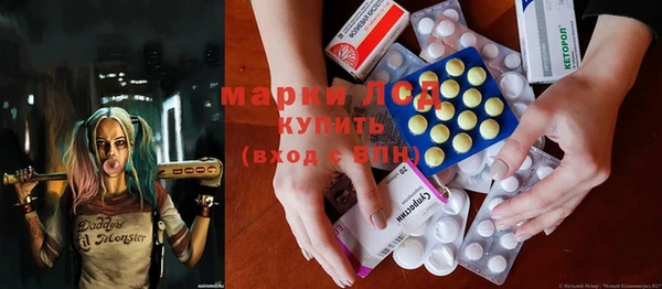 ECSTASY Бородино
