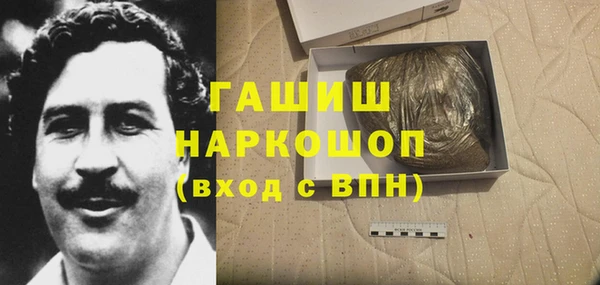 ECSTASY Бородино
